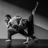  277Dance Project | Guest Faculty 
